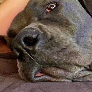 Meet your Posher, Michele